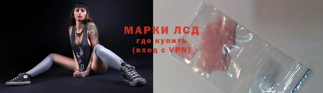 гидра Алексин