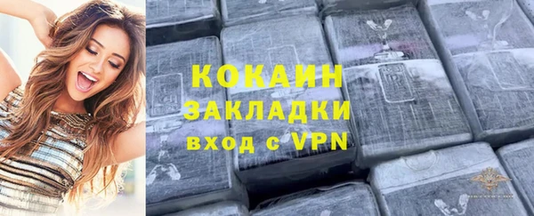 гидра Алексин