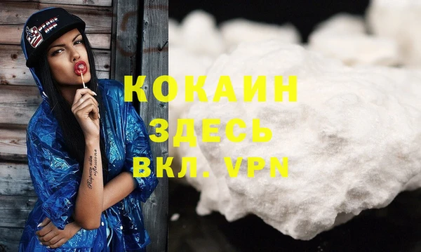 гидра Алексин