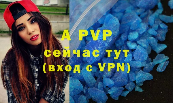 гидра Алексин