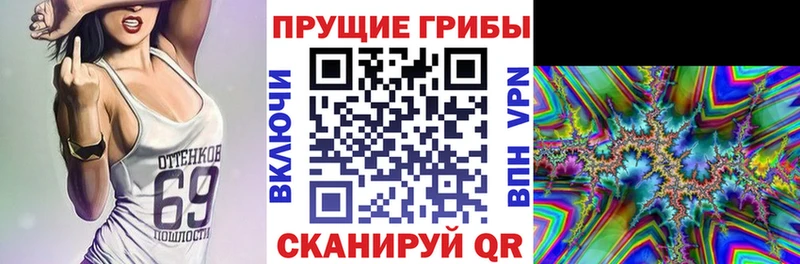 Псилоцибиновые грибы Psilocybine cubensis как найти закладки Покров